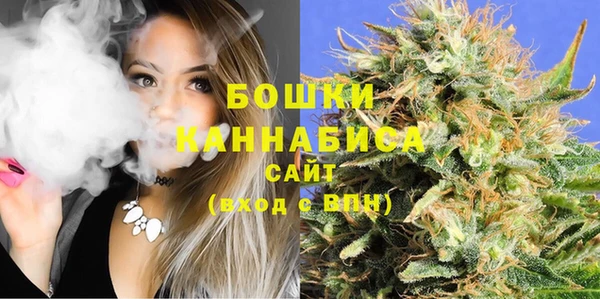 ГАЛЛЮЦИНОГЕННЫЕ ГРИБЫ Вязники