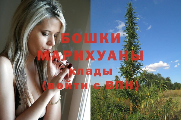 соль ск Вязьма