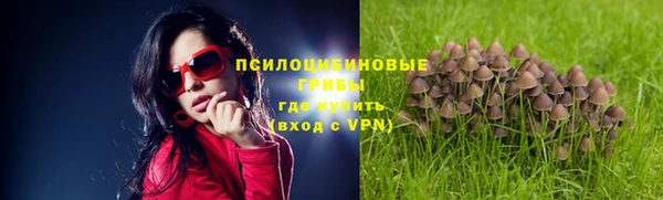 соль ск Вязьма