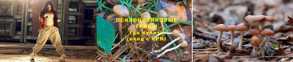 MESCALINE Вяземский