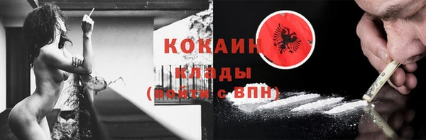 ГАЛЛЮЦИНОГЕННЫЕ ГРИБЫ Вязники