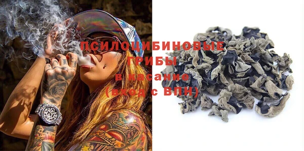 ГАЛЛЮЦИНОГЕННЫЕ ГРИБЫ Вязники