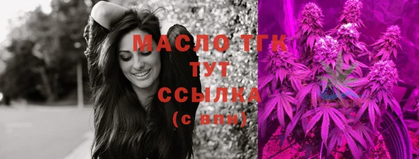 гашик Снежногорск