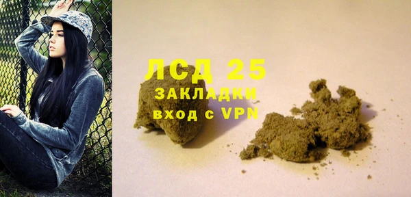 гашик Снежногорск