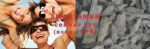 гашик Снежногорск