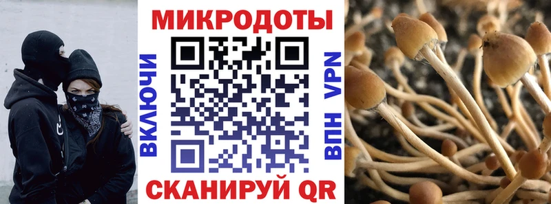 Галлюциногенные грибы Psilocybine cubensis  где можно купить наркотик  Комсомольск 